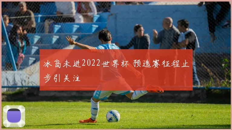 冰岛未进2022世界杯 预选赛征程止步引关注